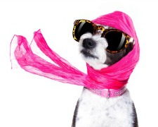 Qu'est-ce que le bon goût ?