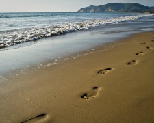 Disparitions volontaires